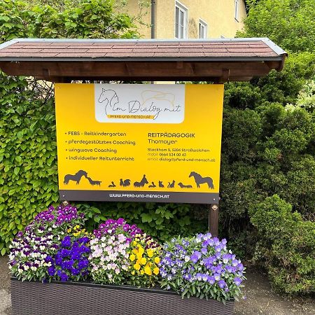 Pferdehof Thomayer Straßwalchen Eksteriør bilde